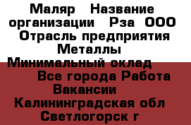 Маляр › Название организации ­ Рза, ООО › Отрасль предприятия ­ Металлы › Минимальный оклад ­ 40 000 - Все города Работа » Вакансии   . Калининградская обл.,Светлогорск г.